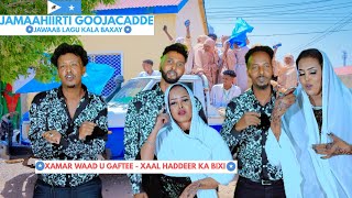 AWALE DAYR Ft Xiddigaha Puntland Layla Ubax Mowliid Jagax Jamaal amp Deeqa KA XOROW CAQLIGA  2024 [upl. by Atin]