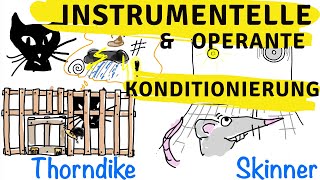 Instrumentelle amp operante Konditionierung  Skinner Thorndike und der Behaviorismus [upl. by Nauqit]