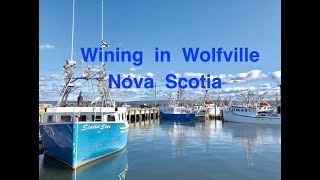 Wining in Wolfville Nova Scotia [upl. by Draw]