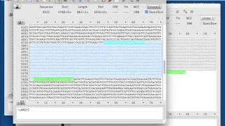 PCR product analysis followed by restriction enzyme analysis ApE [upl. by Lacsap]