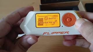 Flipper Zero [upl. by Lodi]