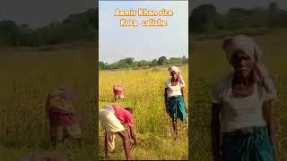 AMARGARH RICE KOTA CHALISHEBANARAS RKBYASHA SAMBALPURI MINIVLOG VIDEO🙏🙏 [upl. by Savage]