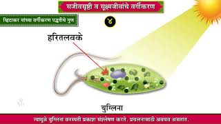 8th Science  Chapter01  Topic04  व्हिटाकर यांच्या वर्गीकरण पद्धतीचे गुण  दोष  Marathi Medium [upl. by Marpet]