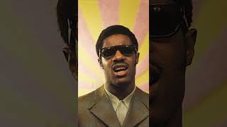 Stevie Wonder Story [upl. by Alaikim956]