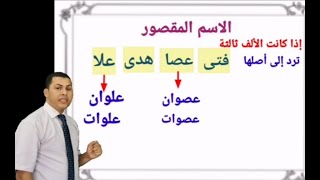 الاسم المقصور والمنقوص والممدود التثنية والجمع [upl. by Bee969]