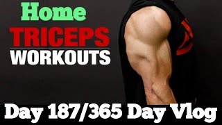 Day 187 365 Home Triceps WorkoutBest Triceps Workouttriceps [upl. by Nnylekoorb]