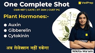 Plant Physiology  Plant hormones  CSIR NET  GATE  IIT JAM  CUET PG  VedPrep Biology Academy [upl. by Ahsiemac756]