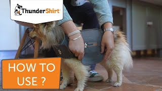 ThunderShirt for Dogs discover how to use it In 3 easy steps [upl. by Aivekahs949]