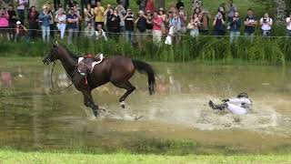 Lincroyable chute de Michael Jung au Championnat dEurope 2023 de Concours Complet au Haras du Pin [upl. by Sweet27]