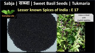 Sabja  सब्जा  Sweet Basil Seeds  Tukmaria  Lesser Known Spices of India EP17 Everyday Life 45 [upl. by Ydnic385]