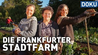 Erfolgreich mit Permakultur  Die Frankfurter Stadtfarm  doku  erlebnis hessen [upl. by Freddy]