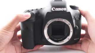 Canon EOS 7D Mark II  Burst Shot Mode Test [upl. by Enyale]