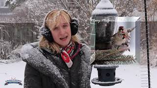 Why Feed Birds in the Winter 3 Reasons [upl. by Markman931]