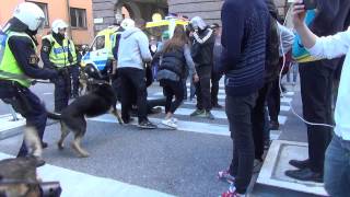 Poliser och motdemonstranter i Stockholm efter Svenskarnas Parti haft möte på GAT 20140830 [upl. by Ajup]