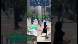 Children nursery center free of cost in city of Saudi Arabia 🇸🇦 Madinah TunNabishorts [upl. by Phillip]