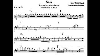 DAVID SANBORN  SLAM  SAX ALTO [upl. by Alamak490]