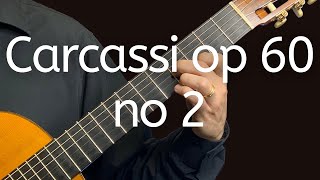 Carcassi op 60 no 2 [upl. by Akahc]