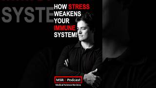 How Stress Weakens Your Immune System shorts shortsfeed msrpodcast [upl. by Atsillak469]