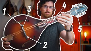 How to SETUP a Mandolin in 5 Steps [upl. by Attaynek]