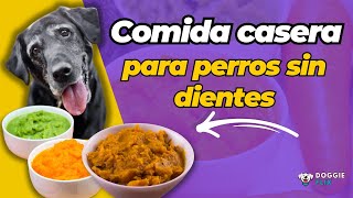 Cómo Preparar Comida Casera para Perros Sin Dientes [upl. by Ecnerol]