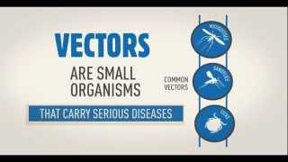 WHO Vector borne disease animation WHD2014 [upl. by Adlig]