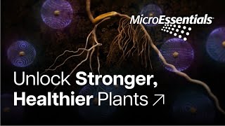 MicroEssentials  Unlock Stronger Healthier Plants [upl. by Alyworth213]