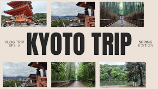 quotFinal Day in Kyoto Arashiyama 🌳 Delicious Street Food 🍢 amp Kiyomizudera ⛩️✨quot [upl. by Tadio]