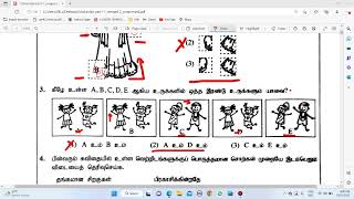 Grade 5 Scholarship 2023 past paper Answers Tamil Medium Que No 17 [upl. by Groos433]