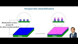 How to Immobilize Streptavidin on the Surface an Interesting Way with the Help of Click Reaction [upl. by Enom308]