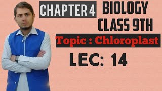 Chloroplast Explained  Class 9th Chp  4  Lec 14 [upl. by Hgielek665]