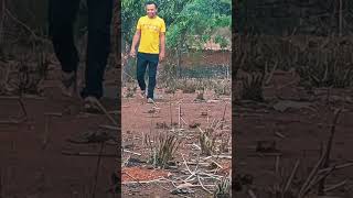 Woking in garden viral trending youtubeshorts shortvideo ayatkhan5520 woking style [upl. by Earahs]