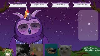 ⭐Owls Birbday Stream Hatchday Party Yippee⭐ [upl. by Sebastian842]