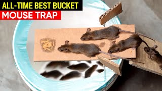 Best Mouse Trap Bucket AllTime  Rat Trap Homemade  How to set a Mousetrap [upl. by Hube]