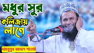 বয়ান তো নয় যেন বাঁশির সুর ৷ মাহবুবুর রহমান সালেহী নতুন ওয়াজ mahbubur rahman salehi waz [upl. by Sollows230]