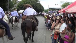 Así se vivió la cabalgata en la 55 Feria de Cali [upl. by Sparhawk]