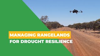 Managing Rangelands for Drought Resilience [upl. by Assirol343]