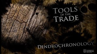 Dendrochronology  UGA Experimental Archaeology [upl. by Ardnosac]