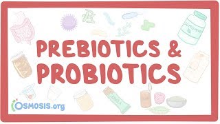 Prebiotics amp probiotics [upl. by Alien]