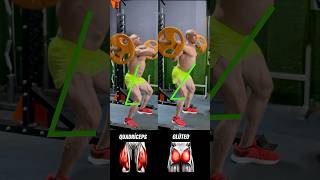 quotBarbell Squat Variations to Boost Your Workoutquot [upl. by Iad839]