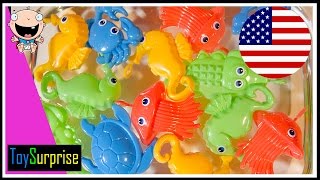 Colores en inglés para niños Aprendemos pescando animales de colores  video educativo [upl. by Ahsiloc678]