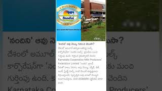 Nandini cow Ghee [upl. by Sidnak]