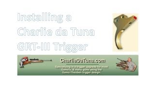 Stoeger X20  installing a Charlie da Tuna GRTIII trigger [upl. by Ahsot]