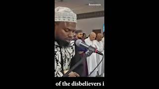 Best of Shaykh Okasha Kameny Quran Recitation [upl. by Shurlocke]