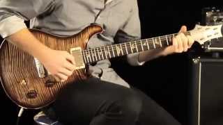 PRS Private Stock Brazilian Custom 22 Demo amp Tone Review [upl. by Roslyn797]