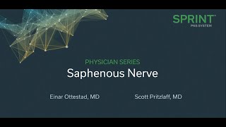 Saphenous Nerve [upl. by Hawker]