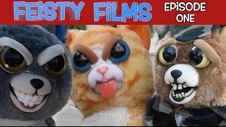 Feisty Films Episode 1 Invasion of the Feisty Pets [upl. by Kevan395]