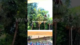 Swarnamukhi Hostel  outside my Window🧐  iit iitmadras campus ytshorts viral room hostel yt [upl. by Yulma]