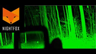 NightFox Prowl Night Vision Performance Test [upl. by Aihsenek]