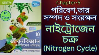 Nitrogen cycle নাইট্রোজেন চক্র  class 10 Harunbiozone [upl. by Aitsirk371]