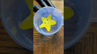 How to draw a cute Star  Super Easy stepbystep diy tutorial ⭐️😊 [upl. by Aleacin454]